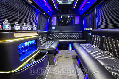 Party Bus (Sprinter) - 12-14 Passengers